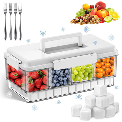 Palksky Snackle Box Container with Ice Pack, Travel Snack Container with Handle, Chilled Portable Divided Serving Tray with Lid, 4 Compartment Snack Box for Fruits,Veggies,Snacks,Keep Food Cold