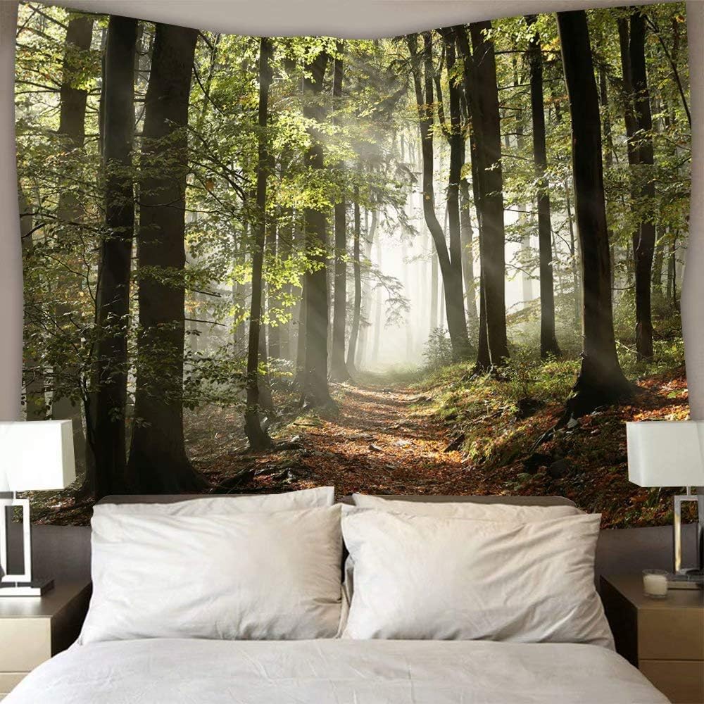 DZGlobal Forest Pathway in Misty Mountain Tapestry, Nature Landscape Wall Hanging Art for Living Room Bedroom Kitchen