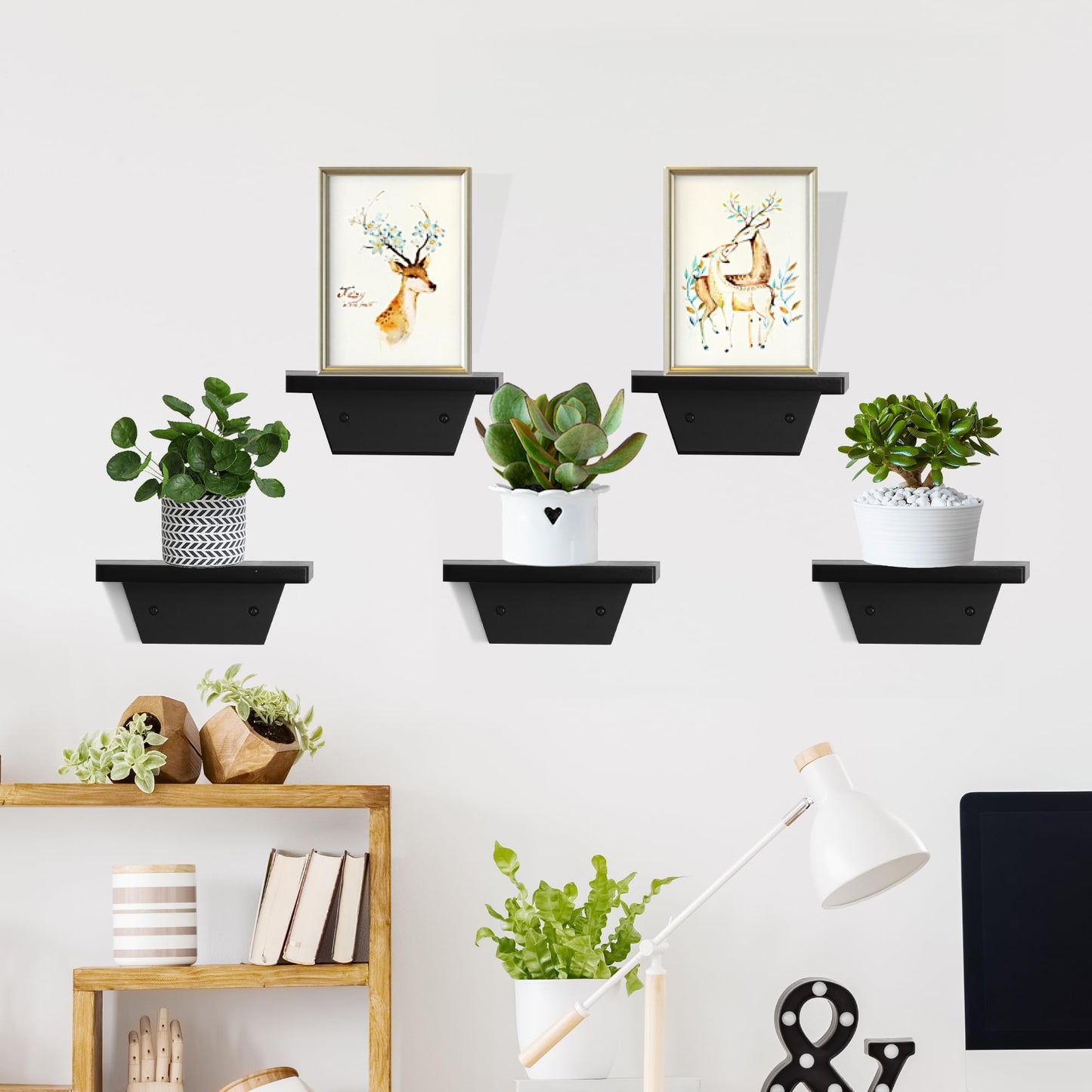 PHOENANCEE Small Floating Shelves,Speaker Shelf,Trapezoid Wall Shelf for Table Lamp Plants Display,Decorative Wood Ledges Chic for Living Room,Bedroom,Kitchen,Office,Pine,8x6 Inch,2 Pack(Black)