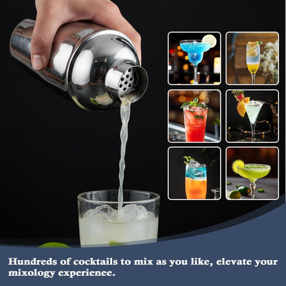 13-Piece Set Set Bartender Kit Bar Tool Boston Cocktail Shaker with Muddler,Strainer,Jigger,SpoonHome Bar Accessories