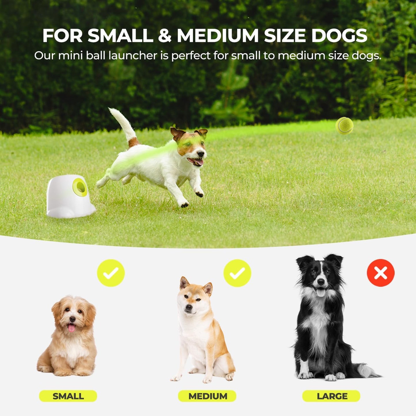 AFP Automatic Ball Launcher for Dogs Interactive Puppy Pet Ball Indoor Thrower Fetch Machine, 3 Balls Included (2 inch) for Small to Medium Dogs