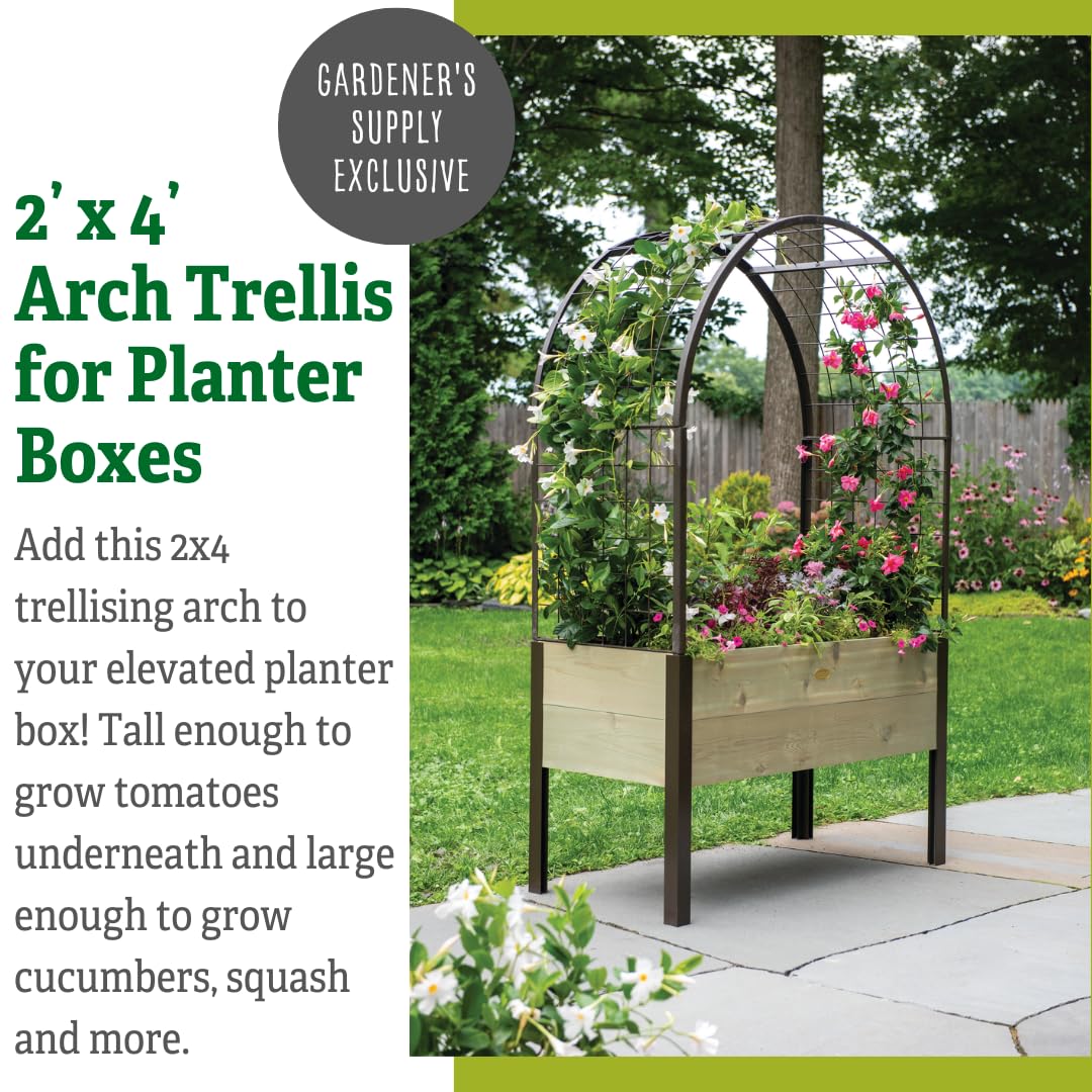 Gardener’s Supply Company Arch Trellis | Garden Arbor fits 2' x 4' Elevated Planter Boxes for Climbing Plants, Vegetables and Flowers | Decorative Outdoor Gardening Landscape
