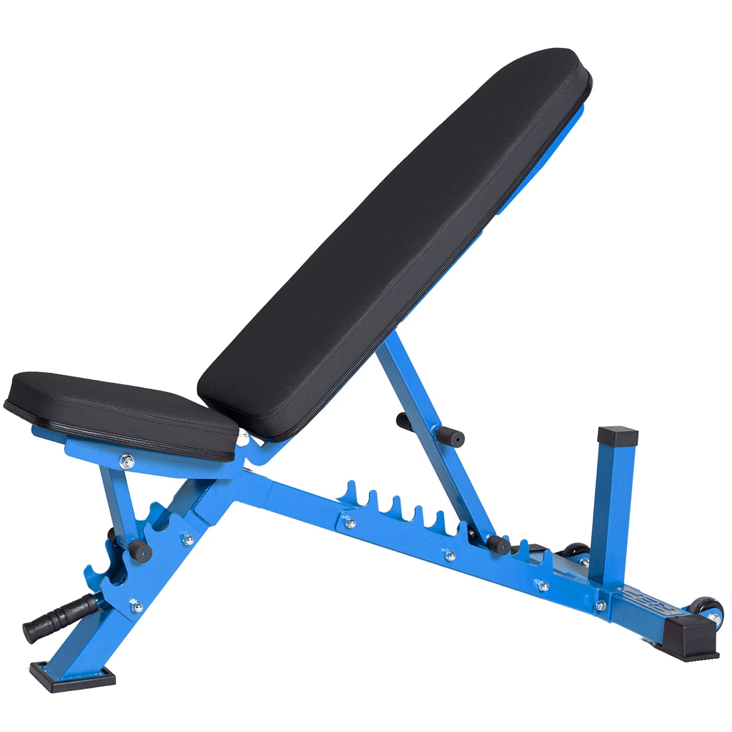 REP AB-3100 Adjustable Weight Bench | Blue FID Strength Chair | Foldable Home Gym Equipment | Flat Incline Decline Workout Bench for Training and Fitness