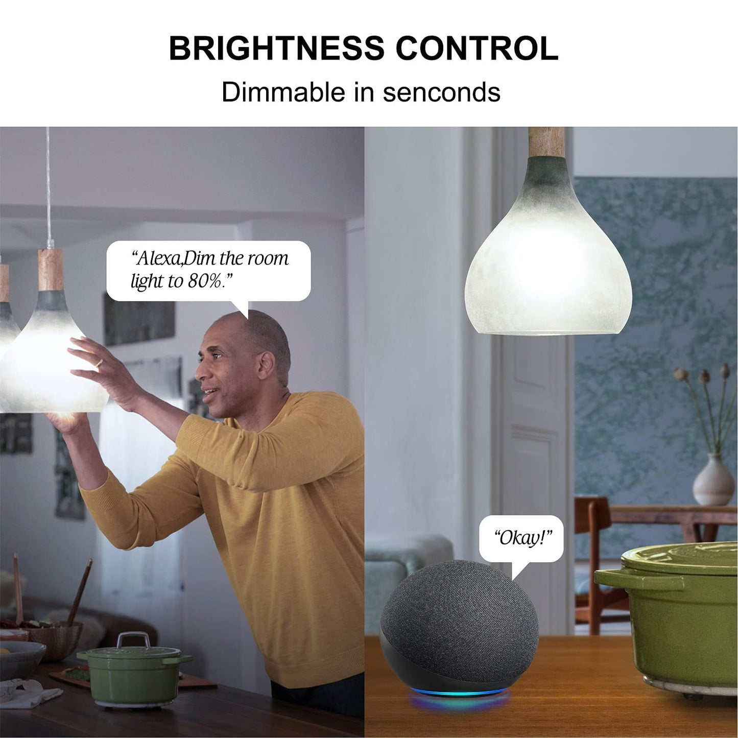 Sengled WiFi Light Bulb - Smart Bulbs That is Compatible with Google Assistant, A19 Daylight (5000K) - No Hub Required, 800LM 60W High CRI)60 Equivalent, 4 Count (Pack of 1)