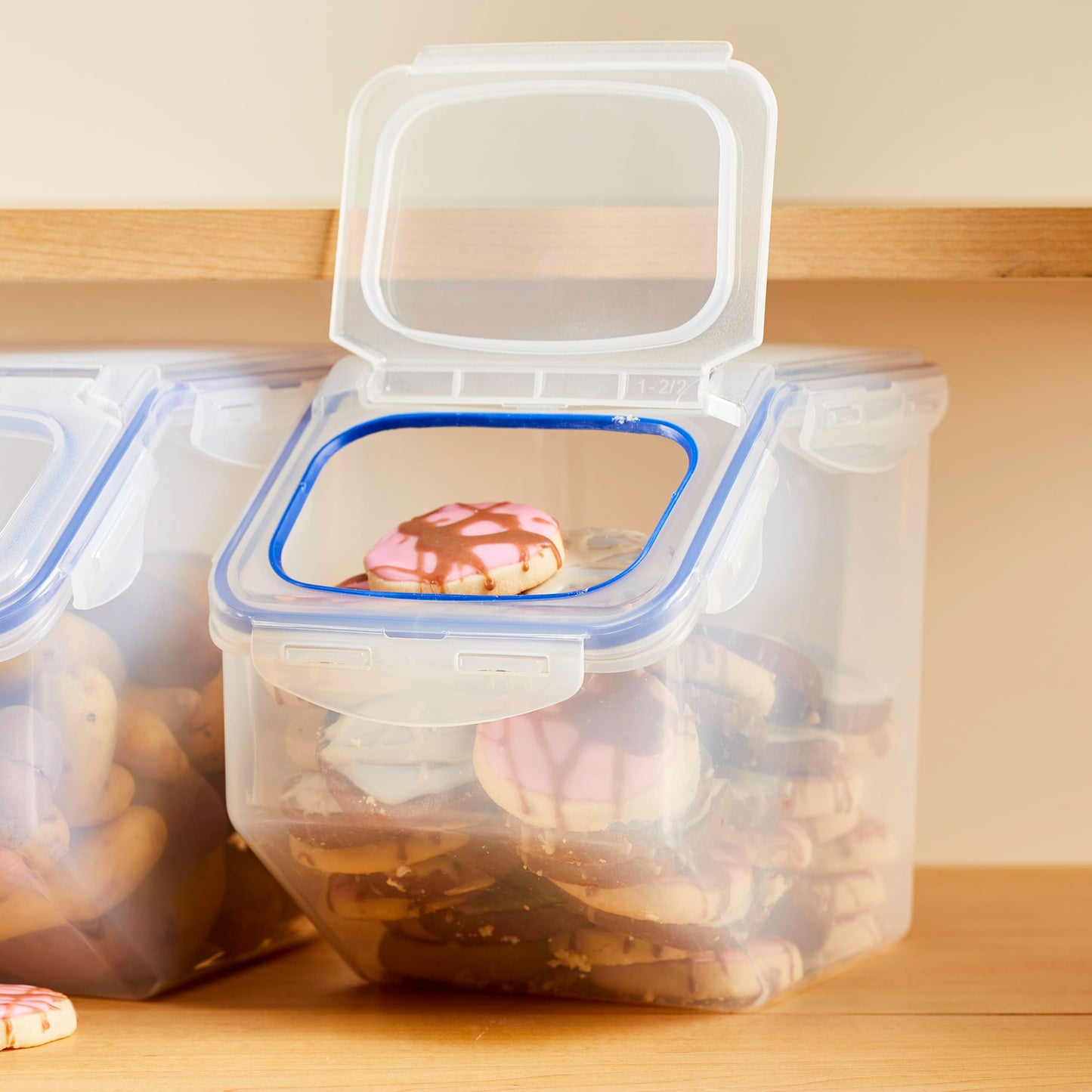 Lock & Lock Storage Bins Food Storage Container with Flip-top lids (Large)