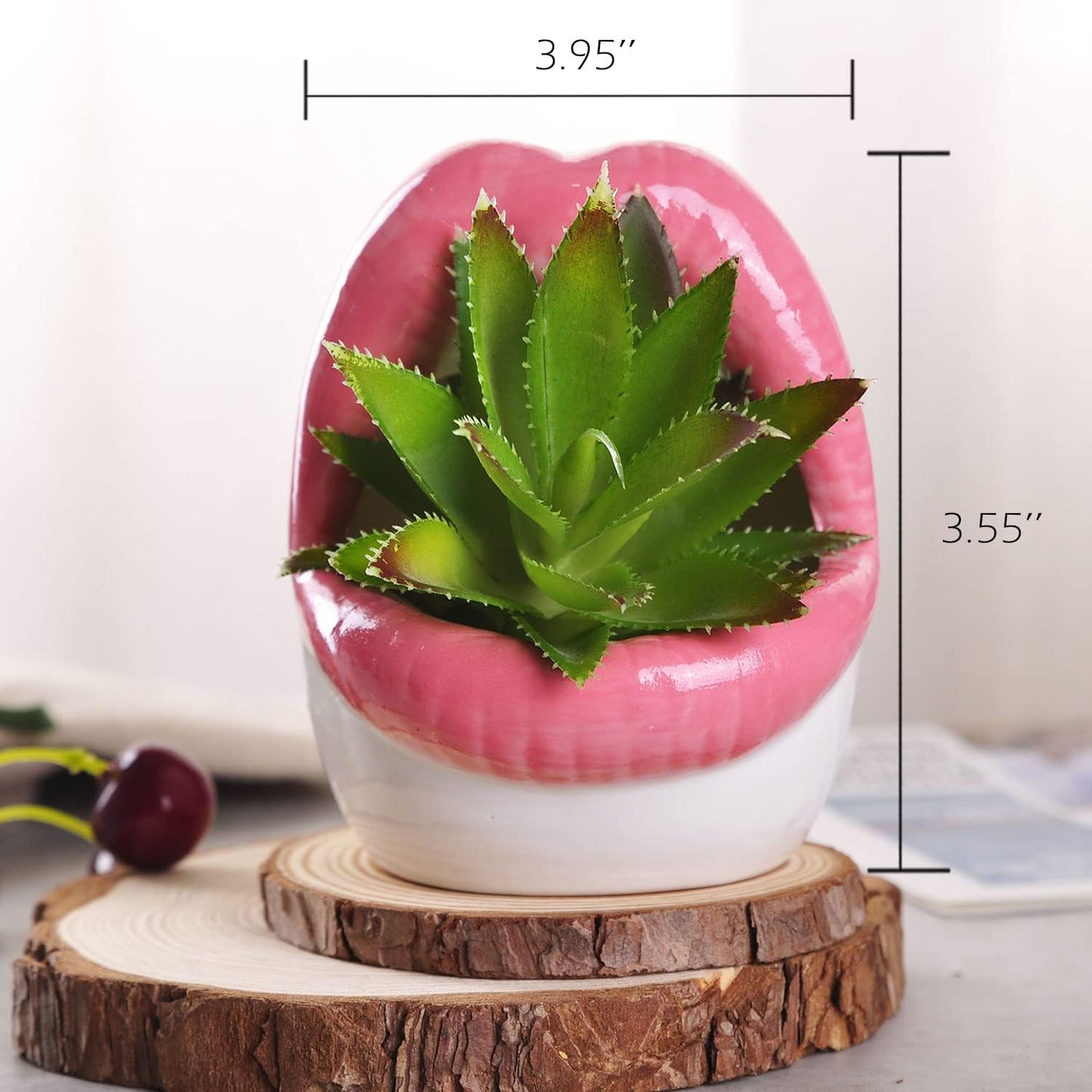 WHJY Sexy Lips Planter Pot, Pink Ceramic Succulent Planter