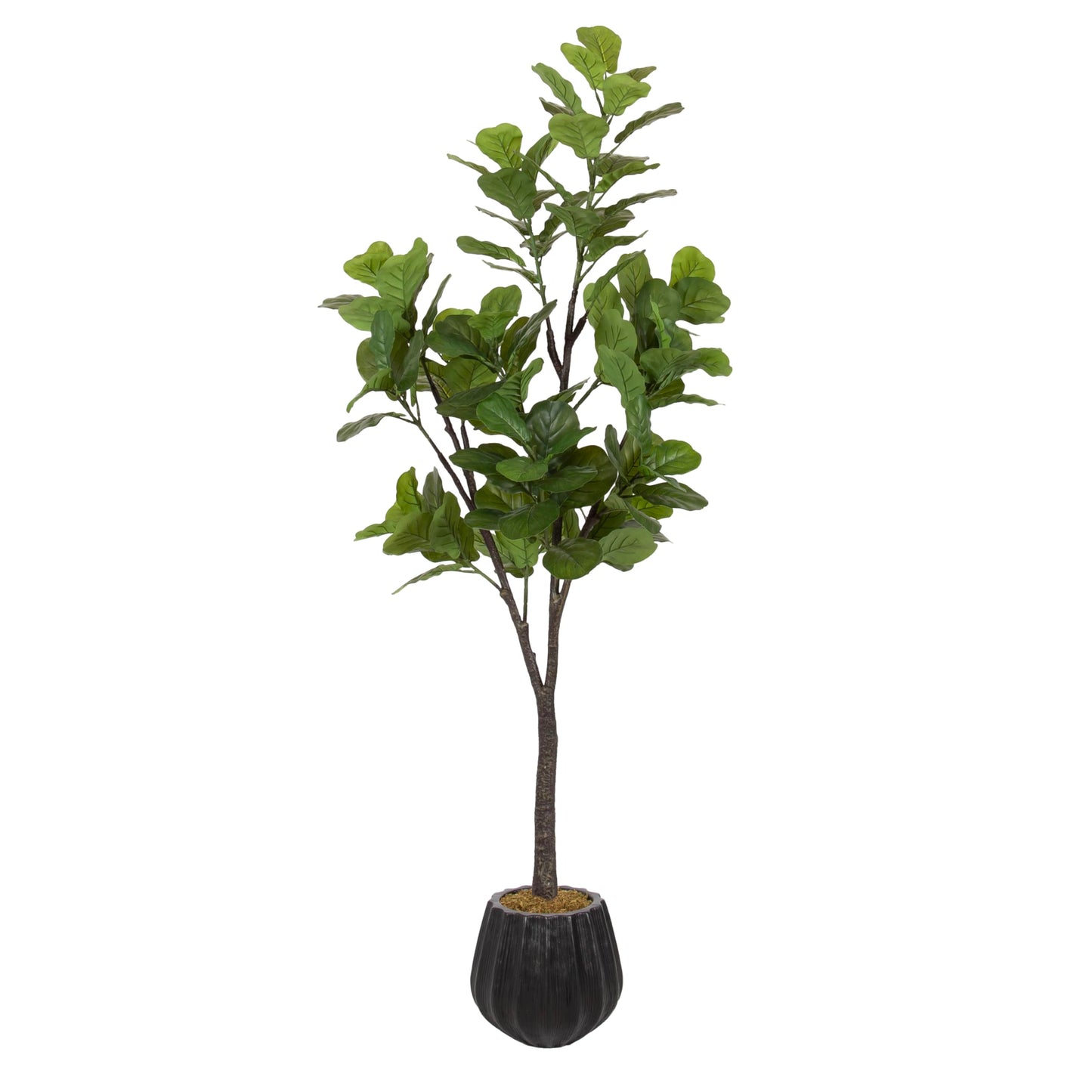 Kate and Laurel Fidmont Faux Fiddle Fig Tree with Claudel Scalloped Planter Pot, 6 FT, Black, Potted Artificial Tree Indoor with Realistic Foliage and Added Moss, Fake Plant for Living Room Decor