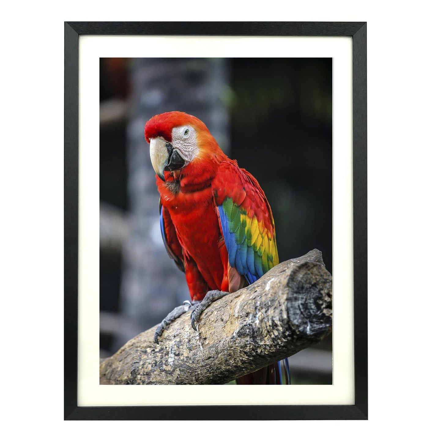 Mxtallup 18x22 in Diamond Painting Picture Frames 16x20 in Diamond Art Frame , Display Pictures16x20 Inch/ 40x50 cm with Mat or 18x22 Inch/45x55 cm Without Mat, Wall Diamond Embroidery 18x22 Picture