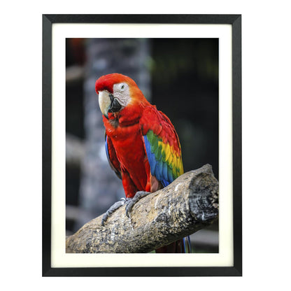 Mxtallup 18x22 in Diamond Painting Picture Frames 16x20 in Diamond Art Frame , Display Pictures16x20 Inch/ 40x50 cm with Mat or 18x22 Inch/45x55 cm Without Mat, Wall Diamond Embroidery 18x22 Picture