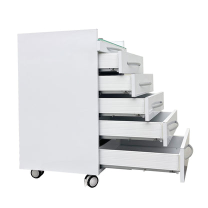 EQCOTWEA Vertical Mobile Dental Cart with Lock 5-Drawer Stainless Steel Medical Storage Cabinet on Rolling Wheels with Brakes Portable Utility Cart for Dental Assistant Hospital Clinic Office Home Use