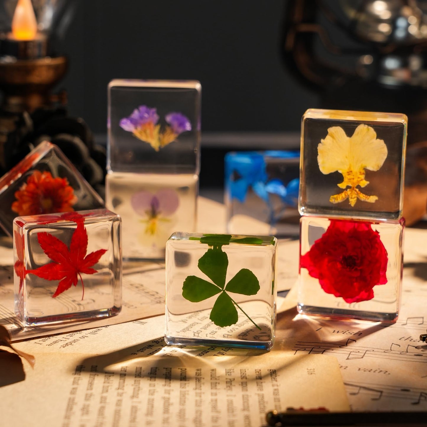 12 Pcs Flower Paperweight, Real Flower Specimen Pressed Flowers in Resin, Botanical Paperweights for Desk Decor, Science Education & Unique Display Supplies (12 Pcs Flower Set 3)