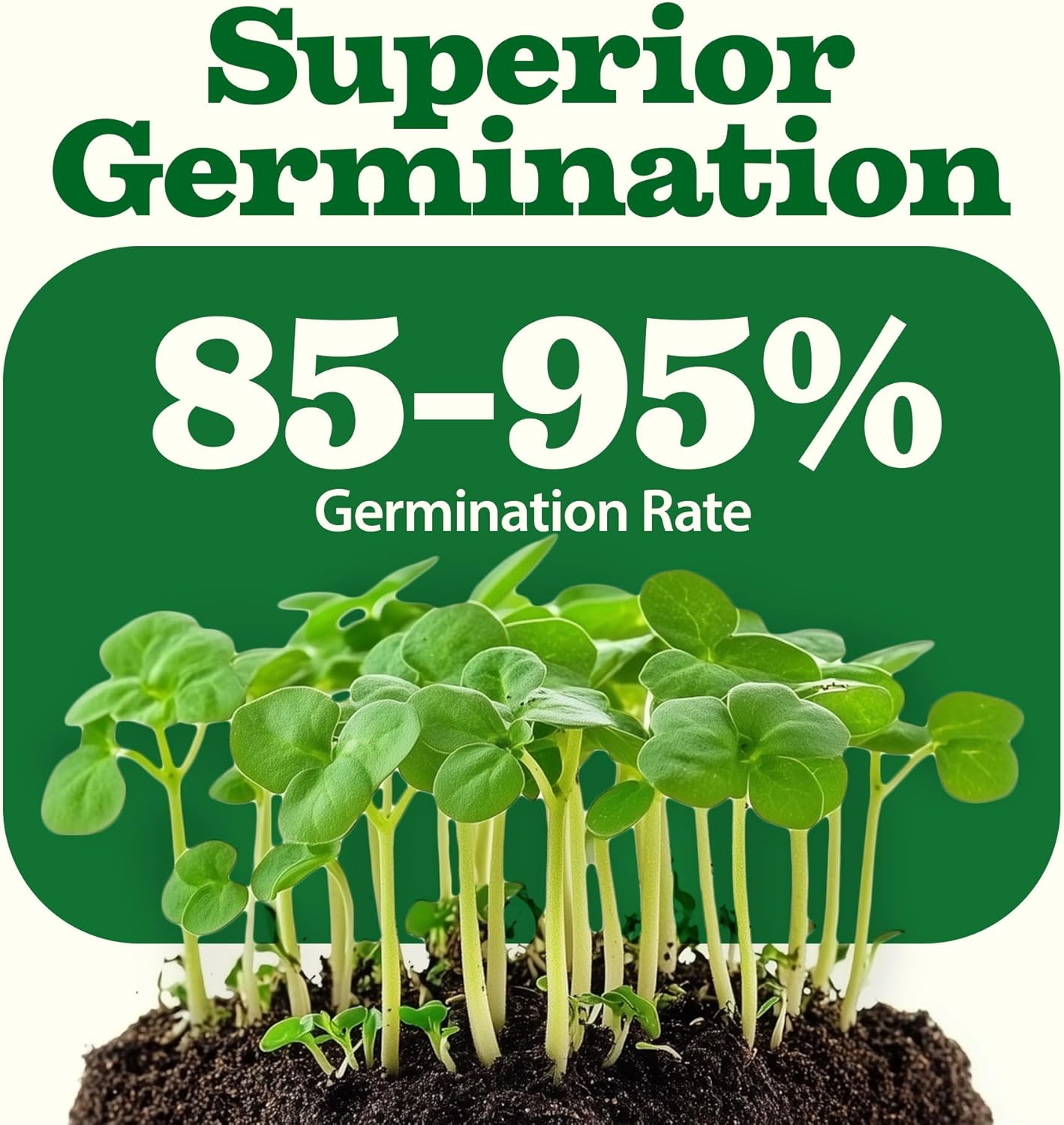 55 Pack 28,000+ HOME GROWN Vegetable Seeds Non-GMO Heirloom Seeds for Planting Vegetables, Survival Seed Vault, Garden