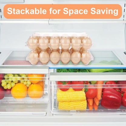 LOYORTY 50PCS Plastic Egg Cartons,18 Count Reusable Egg Carton Cheap Bulk, 3x6 Grids Clear Empty Eggs Cartons for Family, Farm, Markets