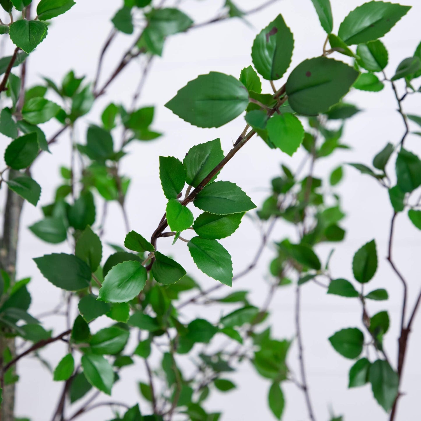 Nearly Natural 10ft Minimalist Citrus Artificial Tree, UV Resistant