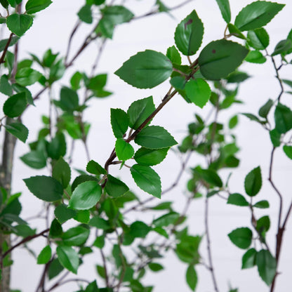 Nearly Natural 10ft Minimalist Citrus Artificial Tree, UV Resistant