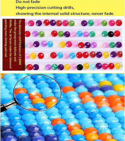 DOTZSO Diamond Art Kits for Adults 6 PCS, DIY Full Diamond Art kit with Crystal Cross Stitch Picture Art and Craft for Adult Beginners 12x16 Inches (Landscape Beach Moon Lake Dream)