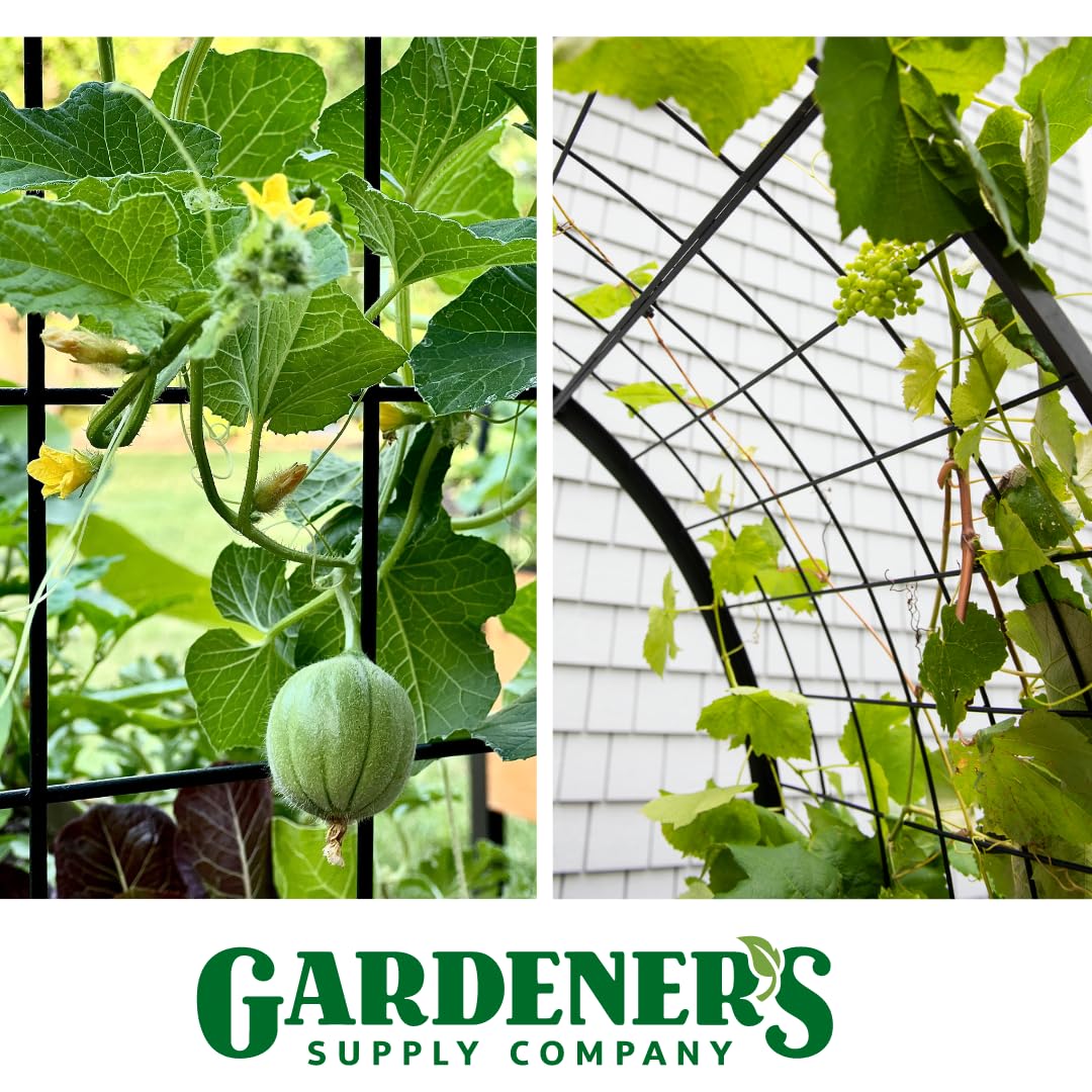 Gardener’s Supply Company Arch Trellis | Garden Arbor fits 2' x 4' Elevated Planter Boxes for Climbing Plants, Vegetables and Flowers | Decorative Outdoor Gardening Landscape