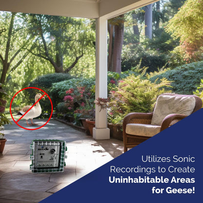 Bird-X GooseBuster, Sonic Goose Decoy Device with 4 Speakers, Uses Naturally-Recorded Sounds, Easy to Install, Covers up to 7 Acres, 500–1500 Hz Frequency