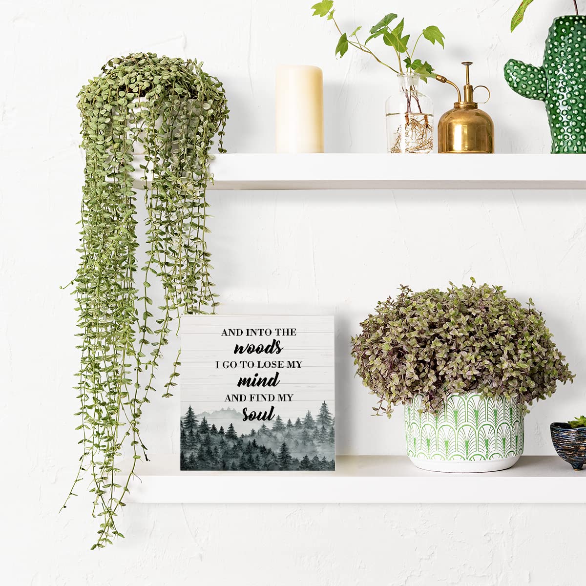 Funny 'Into The Woods I Go To Lose My Mind' Wooden Plaque Box Sign for Home & Table Decor - Camper Accessories