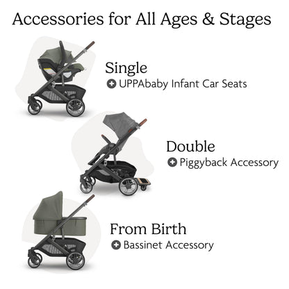 UPPAbaby Cruz V3 Stroller - from Birth + Car Seat Compatible - Full-Size, Reversible Seat - Infant Insert, Bug and Rain Shields Included - Evelyn (Meadow Green/Graphite Frame/Chestnut Leather)