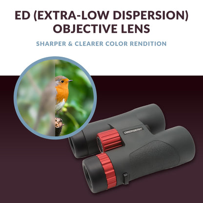 Oberwerk Sport ED 8x42 Professional Binoculars, Roof Prism, Fully Multi-Coated & Waterproof, Dielectric & Phase-Coated Prisms, Twist-Up Eyecups, Bird Watching, Hiking & Outdoor Use, Green