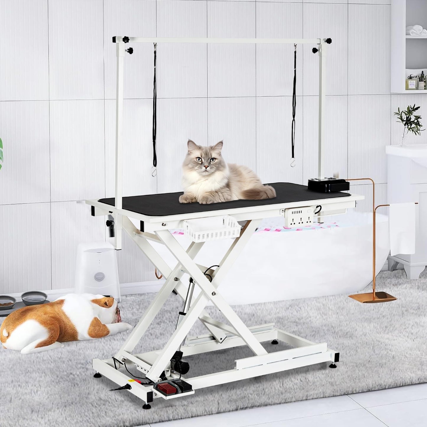 COZONY 50inch Hydraulic Dog Grooming Table,300LBS Electric Grooming Table for Dogs, Professional Pet Grooming Station for Large & Small Dogs