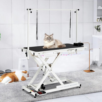 COZONY 50inch Hydraulic Dog Grooming Table,300LBS Electric Grooming Table for Dogs, Professional Pet Grooming Station for Large & Small Dogs