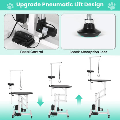 Garvee 24 Inch Electric Hydraulic Lift Pet Dog Grooming Table, Rotating Grooming Desktop for Small Pet, with Overhead Arm, Foot Remote, Tool Organizer, Capacity 250LBS