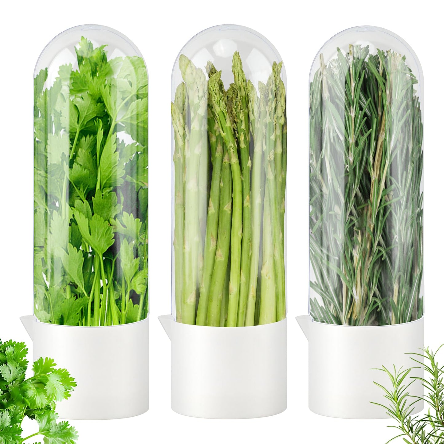 DiQiRenQin 3 Pack Cilantro Container for Fridge, Vertical Herb Keeper for Refrigerator, ABS Herb Saver for Fresh Herbs (Parsley, Mint), White
