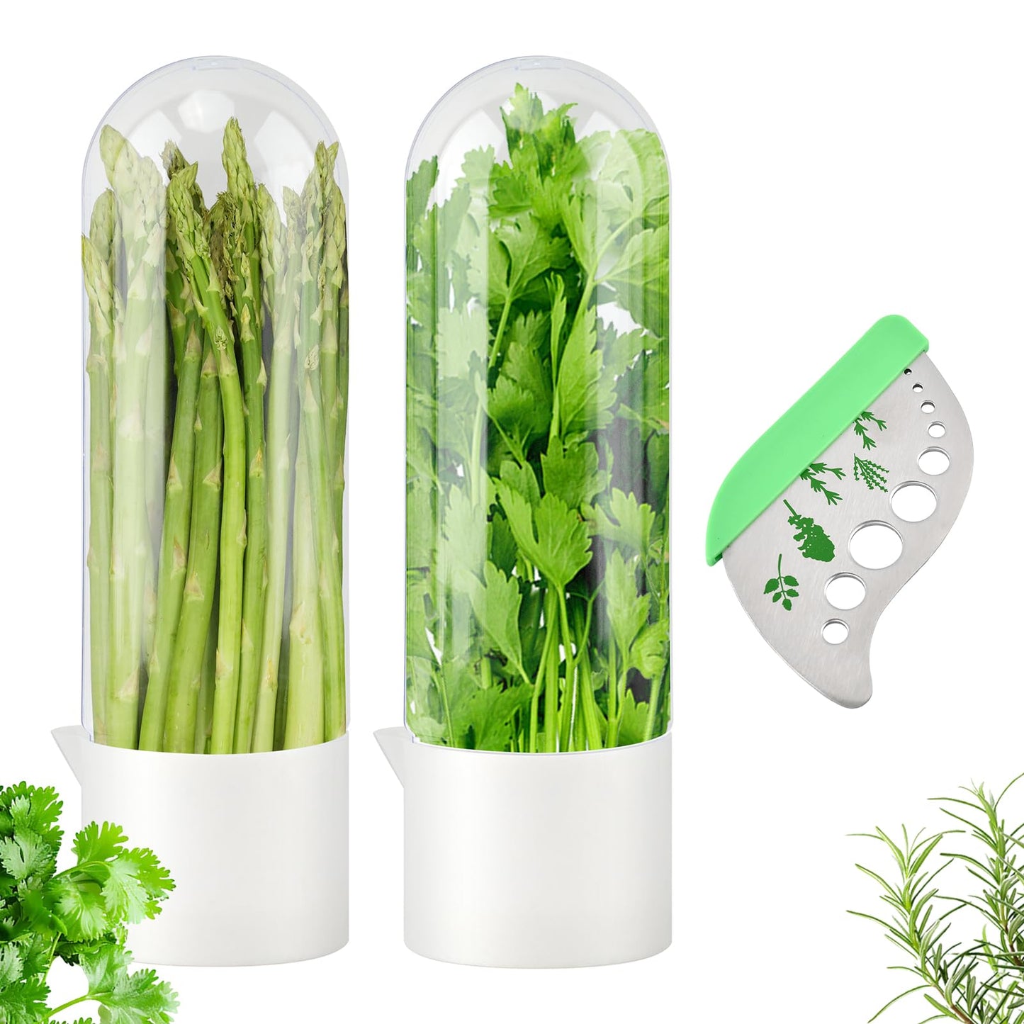 Yuanfenron Herb Keeper for Refrigerator with Herb Peeler - Herbs Saver & Vegetable Preservation Container, Extends Freshness Up to 2-3 Weeks for Cilantro, Basil, Parsley, Mint & Greens