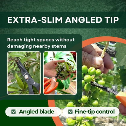 Saboten 6.3" Japanese Harvesting Shears, Magnetic Springless Assist, Fine-Tip Angled Blade, Fluorine-Coated Stainless Steel, Ergonomic Non-Slip Grip, Safety Lock, Made in Japan