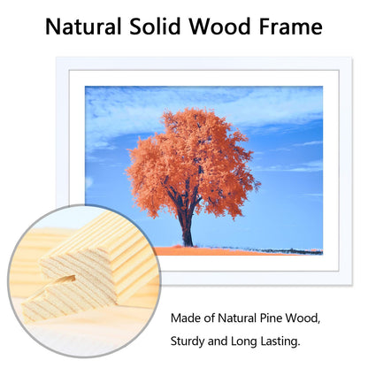 2 Pack 12x16 Picture Frame White, Solid Wood Diamond Art Painting Frames 30x40cm, Display Pictures 10x14 with Mat or 12 x 16 Without Mat, 16x12 Frame for Photos Posters Prints Artworks, Wall Hanging