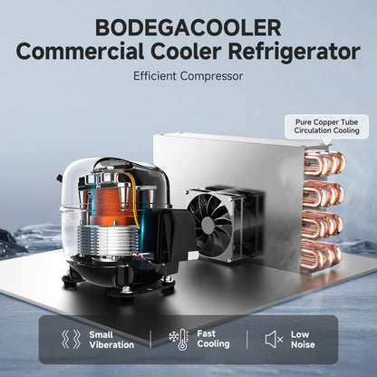 BODEGACOOLER Commercial Merchandiser Refrigerator, 36.8 Cu.Ft Double Glass Door Beverage Cooler, Upright Display Refrigerator with Soft LED Light, Adjustable Shelves, 4 Heavy-Duty Casters, Black