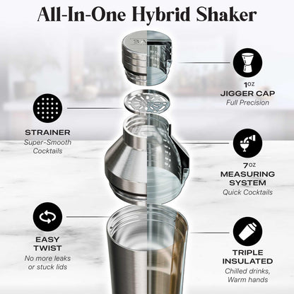BARE BARREL Insulated Cocktail Shaker Set | Double Wall Stainless Steel | Martini Shaker for Home Bar Bartending | Built-in Drink Measure System & Strainer, Travel Bag, Recipes | Gift Set (Silver)