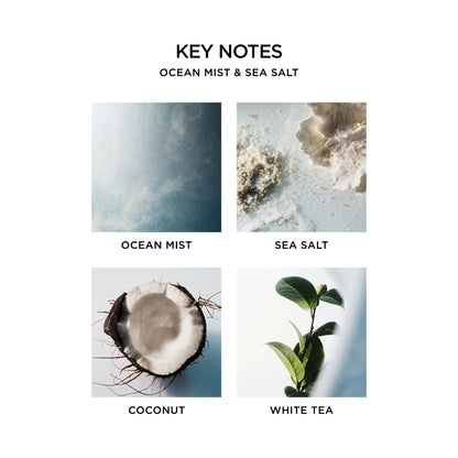 NEST New York Reed Diffuser Liquid Refill, Sicilian Tangerine - 5.9 fl oz - Fragrance for Up to 90 Days - Flame Free