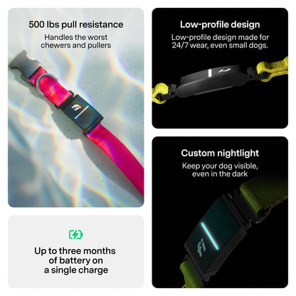 Fi New Series 3+ Smart Dog Tracker Collar [12 Month Membership Included] GPS Tracker for Dogs with Health & Behavior Monitoring, Escape Alerts, Waterproof, LED, Apple Watch Compatible -Yellow, X-Large