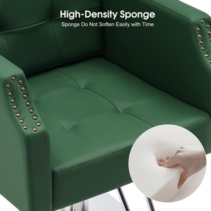 BarberPub Classic Salon Chair for Hair Stylist,Hydraulic Barber Styling Chair,Beauty Salon Spa Equipment 8818 (Green)
