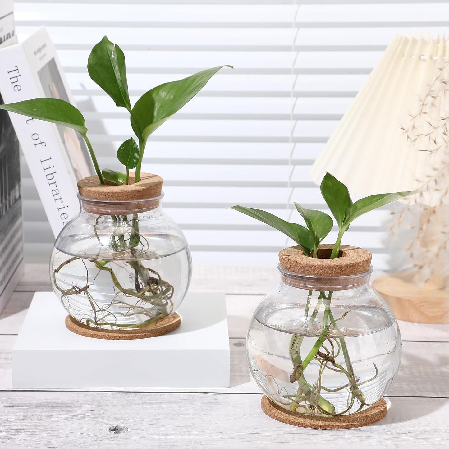 12 Packs Baderke Propagation Vases for Plants Plastic Plant Propagation Station with Hole Lid and Cork Coasters Plant