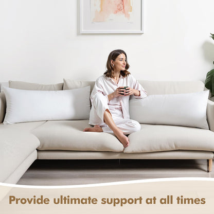 MIULEE 24x24 Down Alternative Pillow Insert Euro Decorative Throw Pillow 24 x 24 Inch Body Bed Sleeping Ultra Soft Fluffy Form for Sofa Couch Bed