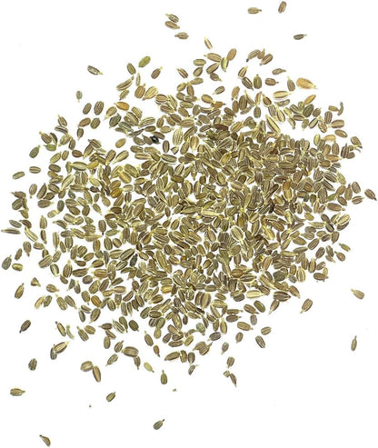 (1 Pack) Seed Needs Carrot Seeds for Planting Tendersweet Carrots - Non-GMO Heirloom & Untreated Vegetable Seed