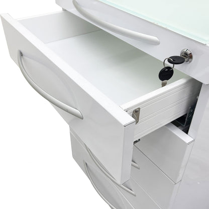 INTBUYING Mobile Dental Cart Stainless Steel Medical Storage Cabinet with Five Large Drawers, Brake wheels, Lock, Rolling Utility Cart for Dental Assistant Clinic Hospital Office School & Home