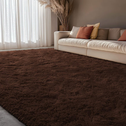 5x7 EVOIONOS Washable Large Area Rug for Living Room, Fluffy Shag Rug for Bedroom, Ultra Soft Plush Non Slip Carpet