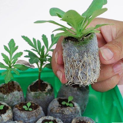 Woohome 150 PCS Peat Pellets Seeding Soil Set, Compressed Peat Block with Plant Labels for Indoor Outdoor Gardening