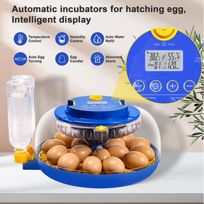 IIGLOWING 18 Eggs360Airflow Egg Incubators for Hatching Circulation System Incubator with Automatic Egg Turner