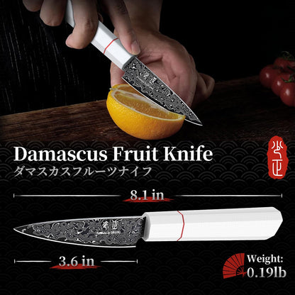 DRGSKL Damascus Fruit Knife 3.5 inch - VG10 Paring Knife for Precision Cutting - Small Kitchen Knives with Japanese G10 Handle - In Gift Box