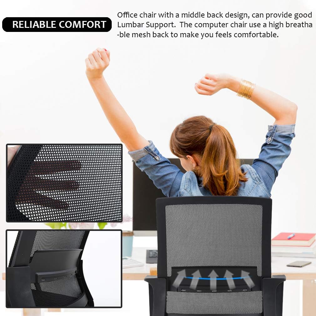 Home Office Chair Ergonomic Desk Chair, Swivel Rolling Computer Chair with Lumbar Support, Adjustable Stool (Black)