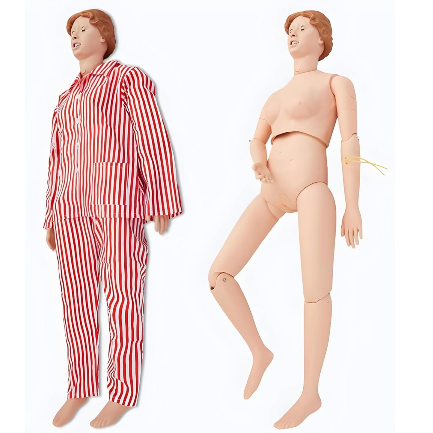 Nursing Skills Training Manikin Medical Mannequin for Training, Medical Mannequin for Training for Clinical Skills Training and Patient Care Teaching Education Pratice (Male)(Female)