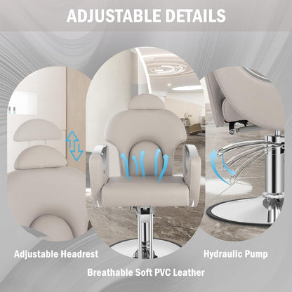 Tythical Reclining Salon Chair, Hydraulic Barber Styling Chair for Hair Stylist, 360 ° Swivel Hair Braiding Hairdresser Chairs, Height Adjustable Spa Beauty Equipment for Barbershop, Grey Silver