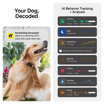 Fi New Series 3+ Smart Dog Tracker Collar [6 Month Membership Included] GPS Tracker for Dogs with Health & Behavior Monitoring, Escape Alerts, Waterproof, LED, Apple Watch Compatible (Blue, X-Large)