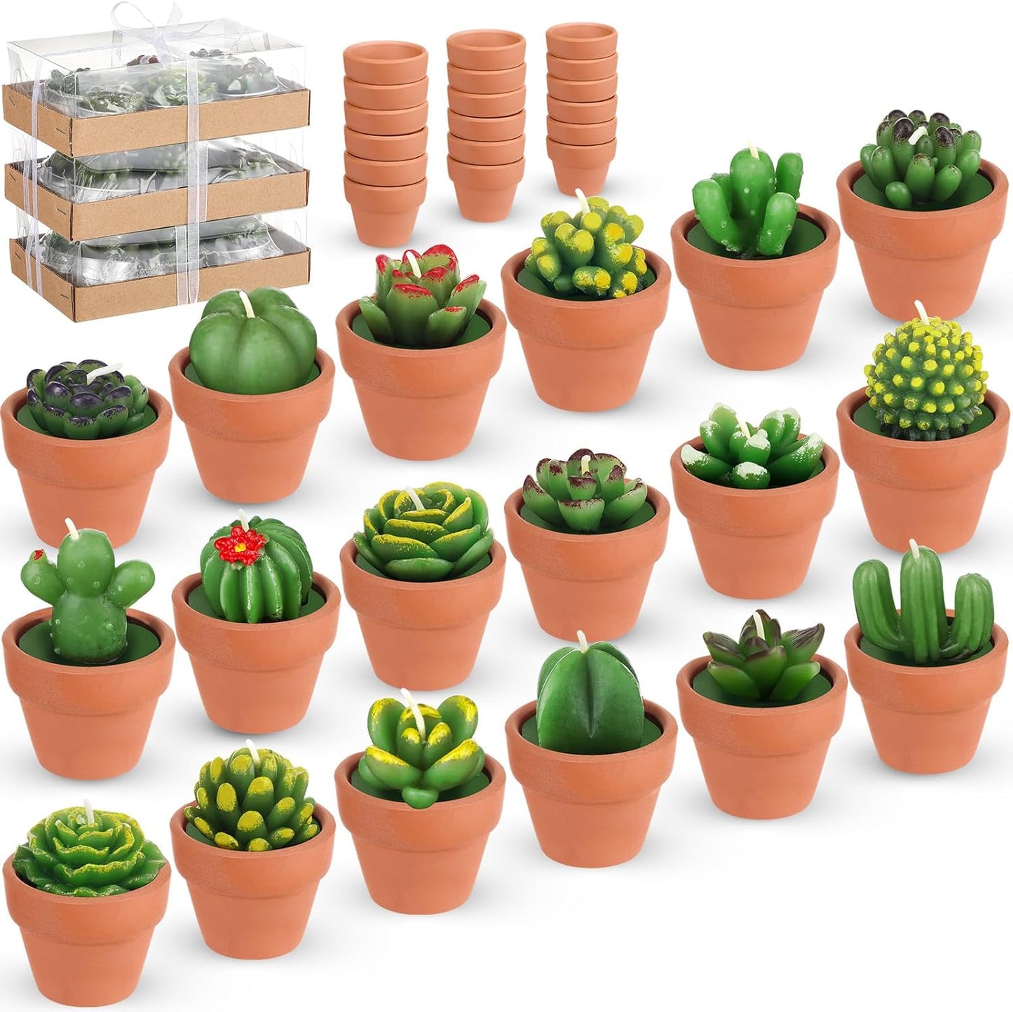 18 Treela Pcs Succulent Cactus Tealight Candles Handmade Tea Lights Baby Shower Plant Candle Gift with Mini Terracotta